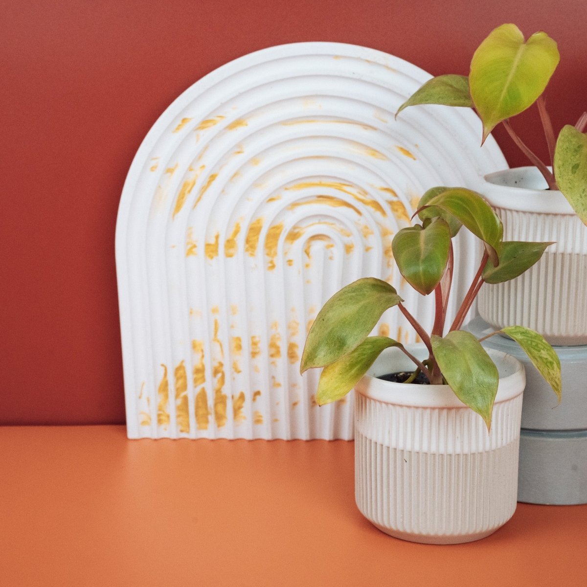 Philodendron Paraiso Verde – Ansicht 7