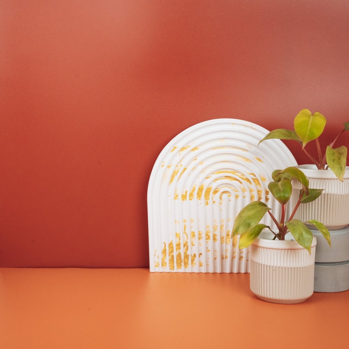 Philodendron Paraiso Verde – Ansicht 9