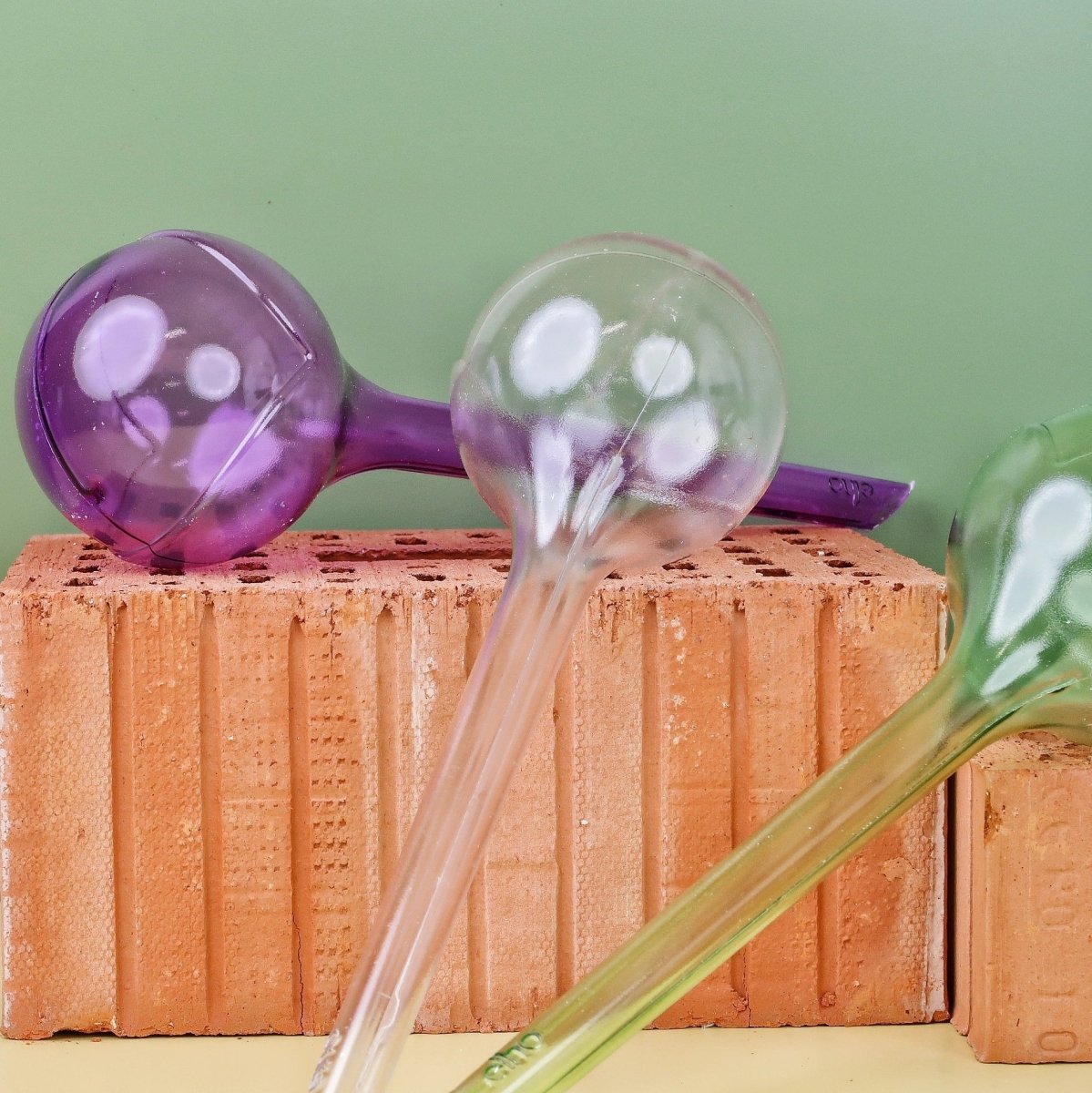 Selbstbewässerung Elho Aqua Care Aubergine für Urlaub und Homeoffice