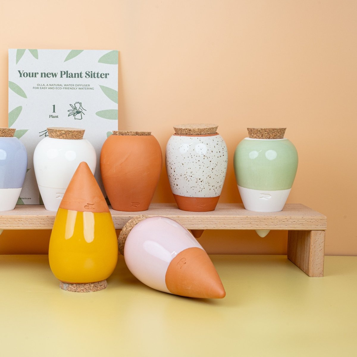 Pepin Olla – Ansicht 15