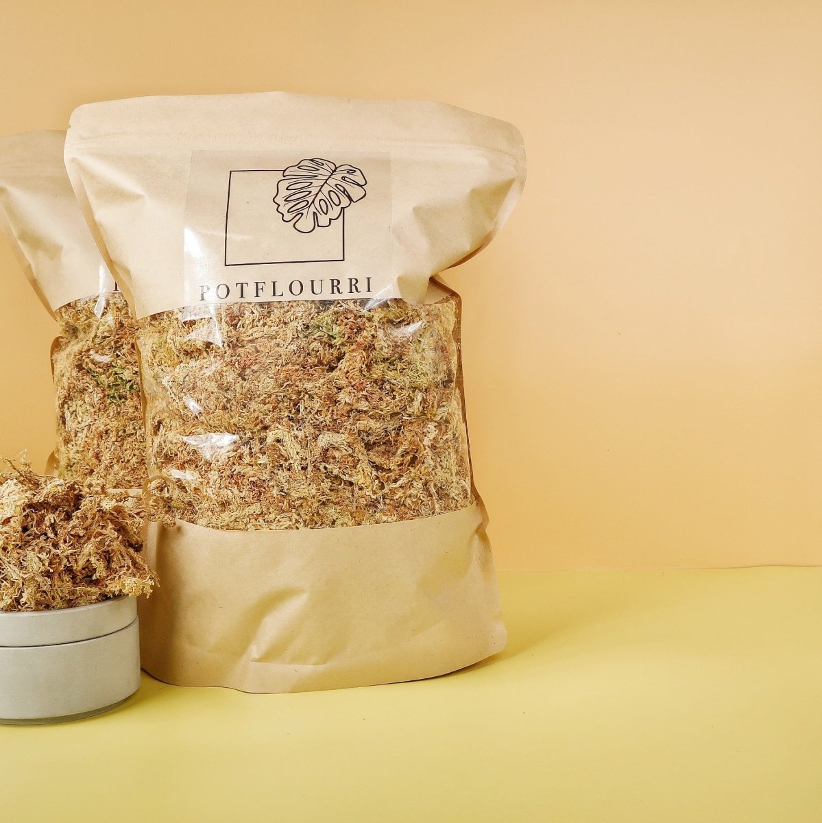 Sphagnum Moos – pH-neutral und steril