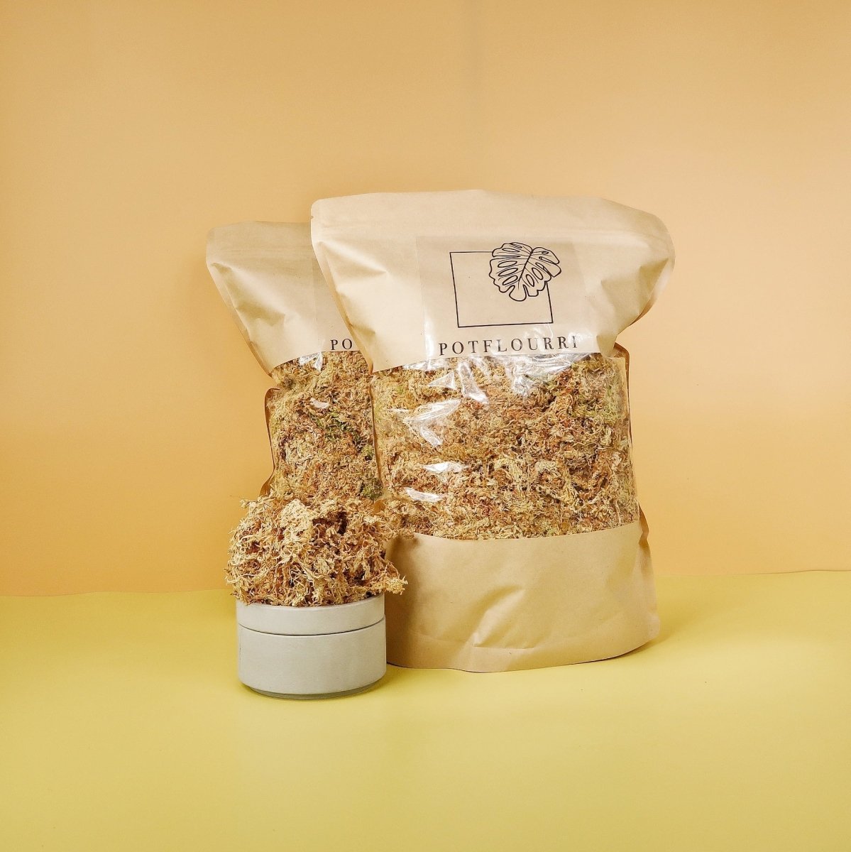 Substrat Sphagnum Moos – natürliches Nährsubstrat – potflourri