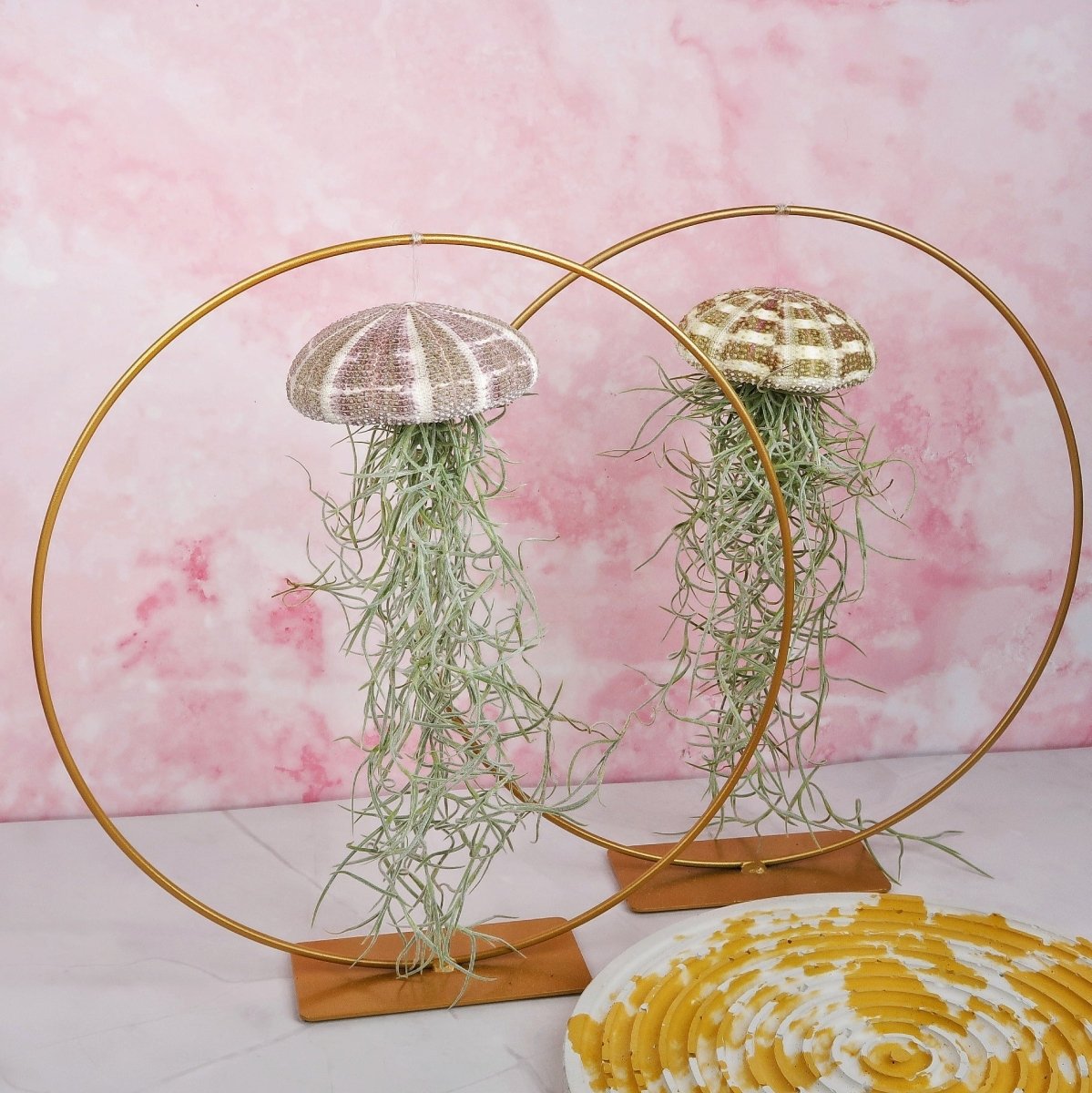 Tillandsia Usneoides Natur – aschgrau gefärbte Blätter