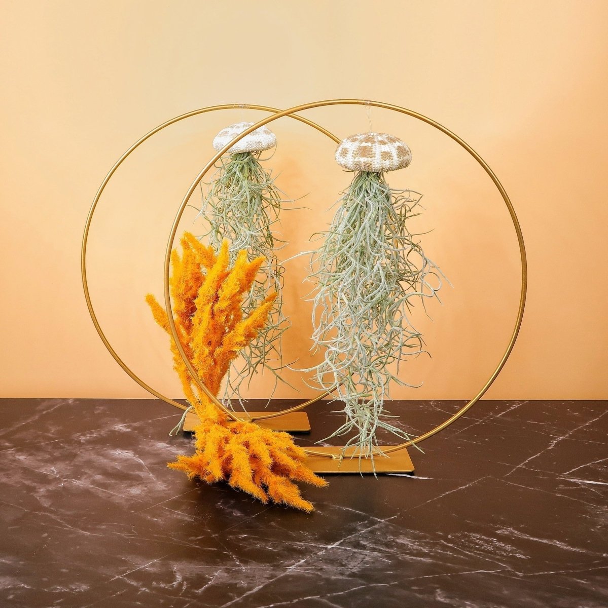 Tillandsia Usneoides Panther – hängende Luftpflanze – potflourri