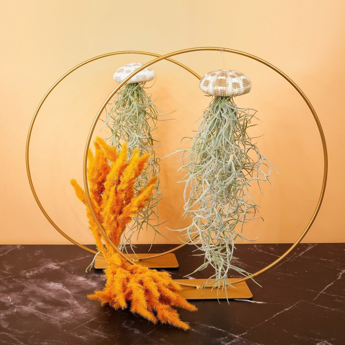Tillandsia Usneoides Panther für Einsteiger geeignet