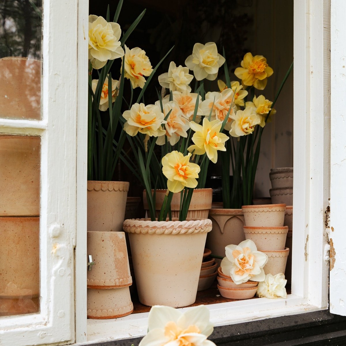 Übertopf Bergs Emilia aus toskanischem Terrakotta