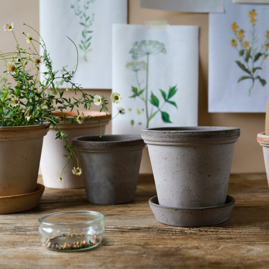 Übertopf Bergs Flora, Terrakotta mit klassischer Verzierung – potflourri