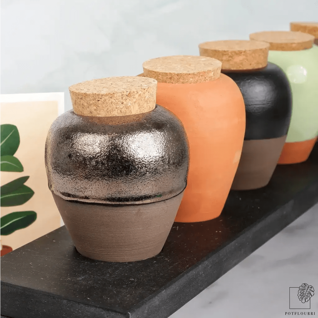 Pepin Olla – Ansicht 13