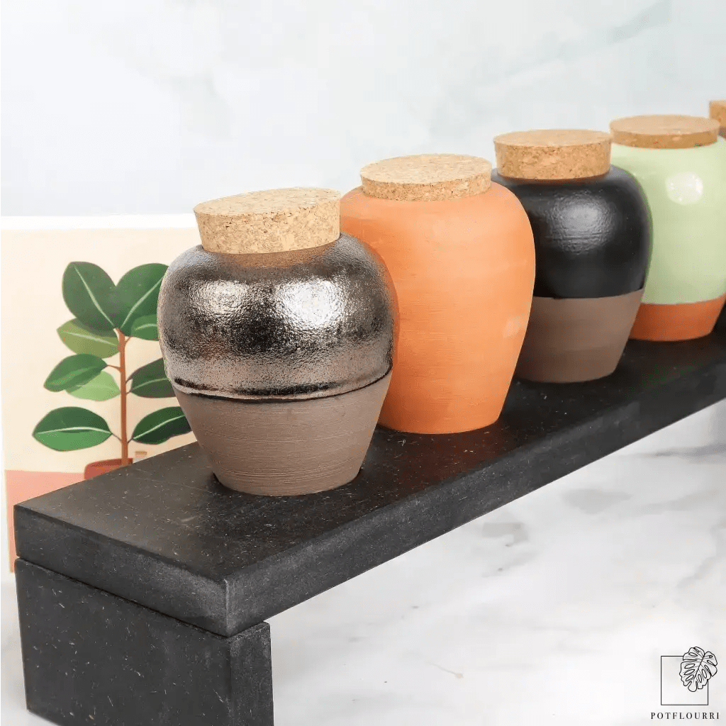 Pepin Olla – traditionelle Bewässerungsmethode aus Terrakotta
